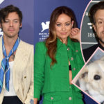 Olivia Wilde Was 'An Addict' For Harry Styles While Still With Jason Sudeikis -- And Even Gave Up Her Dog For Him?!