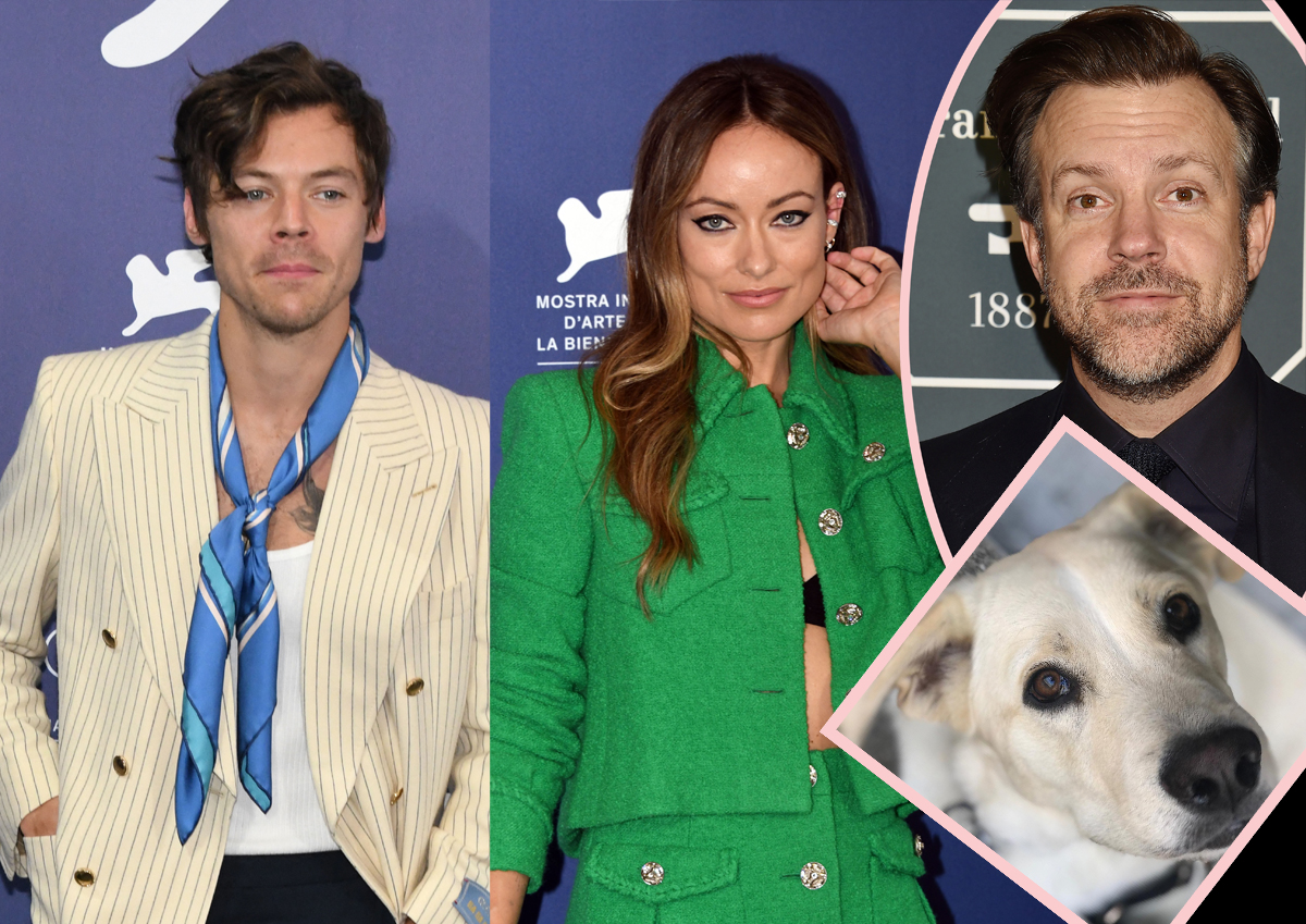 #Olivia Wilde Was ‘An Addict’ For Harry Styles While Still With Jason Sudeikis — And Even Gave Up Her Dog For Him?!