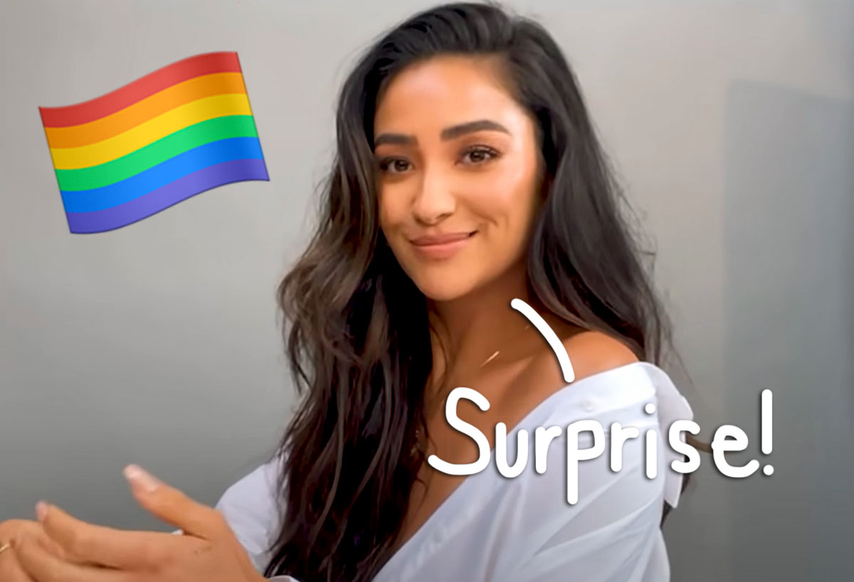 Shay Mitchell Seemingly Comes Out As Bi On Tiktok Cnnislands
