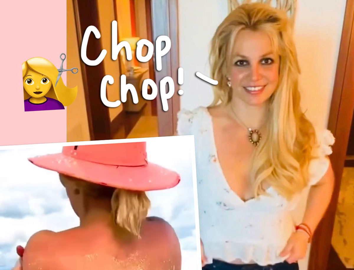 #Did Britney Spears Cut All Her Hair Off Again?!