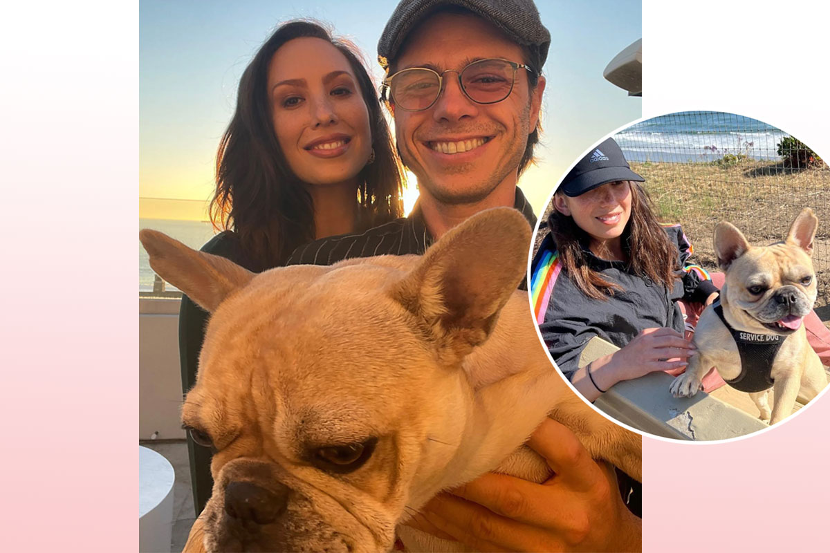 #Exes Cheryl Burke & Matthew Lawrence Are Going To Court… Over Custody Of A DOG!