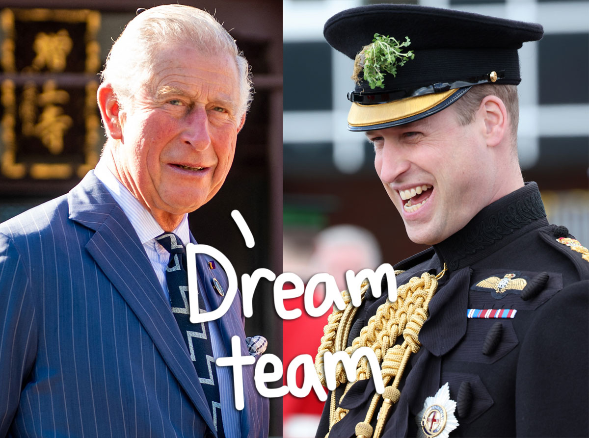 #Prince William & King Charles Have ‘Strengthened Their Bond’ Unlike Ever Before — Thanks To WHO?!