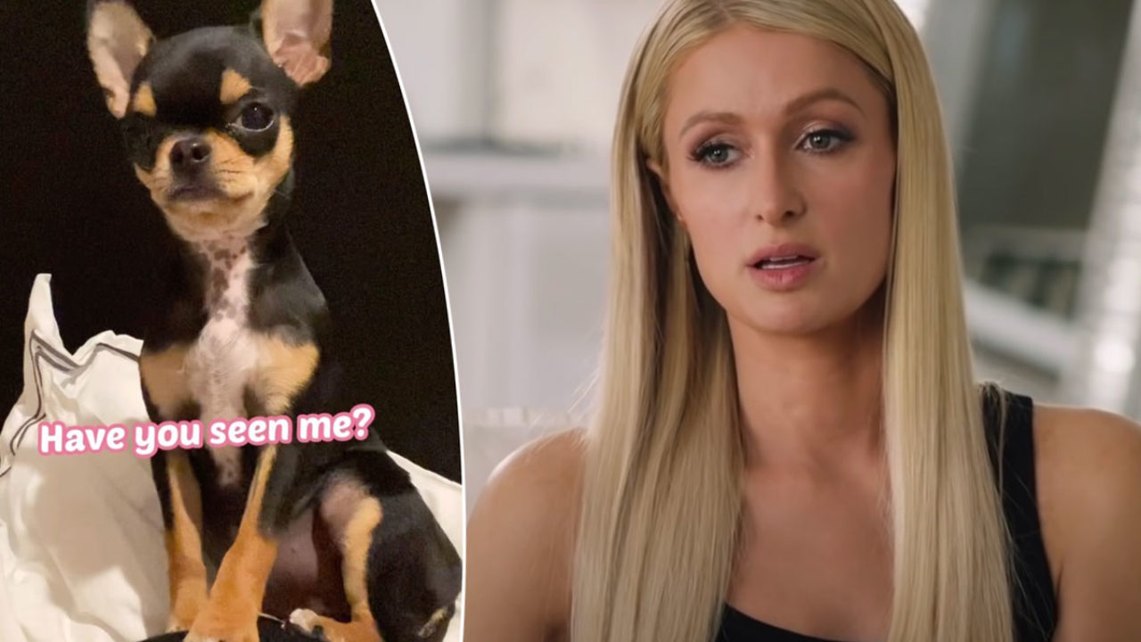 Paris Hilton bought her puppy a $5,500 Hermès Kelly bag