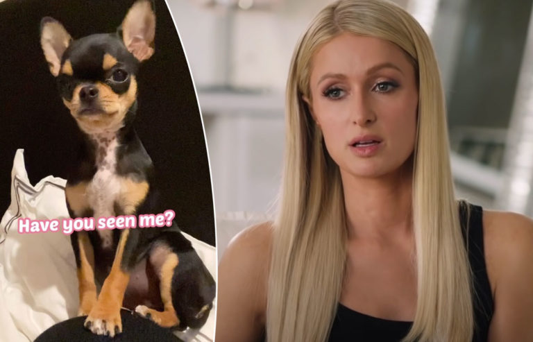 Paris Hilton Provides Update On Missing Dog: Says Multiple 'Pet Mediums ...