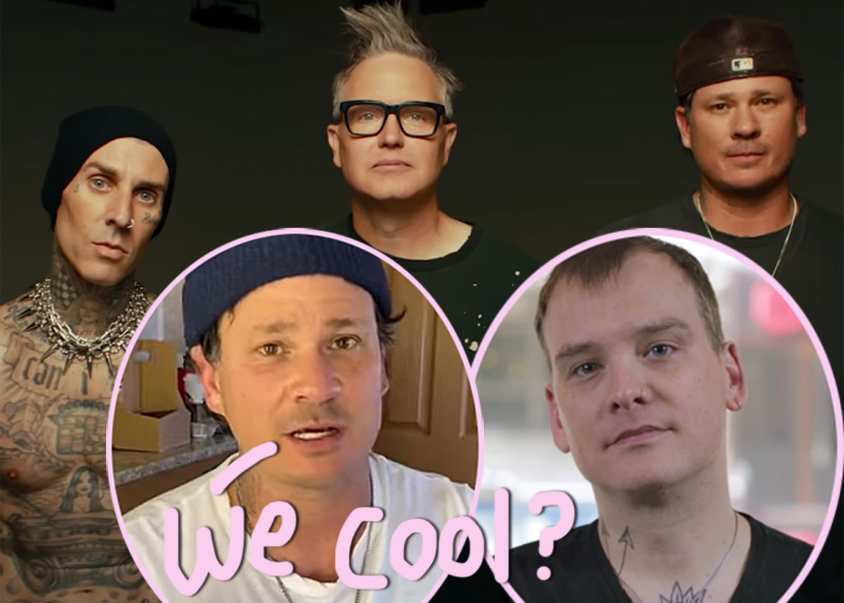 #Tom DeLonge Sends Letter To Blink-182 Replacement Matt Skiba After Reunion News — Is Everything Cool?
