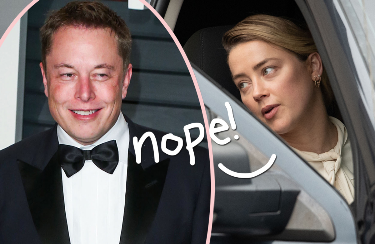 Omg Amber Heard Deleted Her Twitter Account When Ex Elon Musk Took Over Perez Hilton