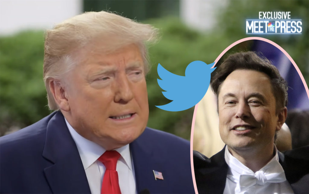 Donald Trump Snubs Twitter As Elon Musk Reinstates His Account Perez Hilton 