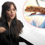 Serial Killer Vibes! Wednesday Star Jenna Ortega Says She Used To Perform Autopsies On Animals For Fun!