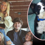 University Of Idaho Serial Killer? Nearby Couple's Dog Was 'Skinned' & 'Filleted' A Month Before Murders...