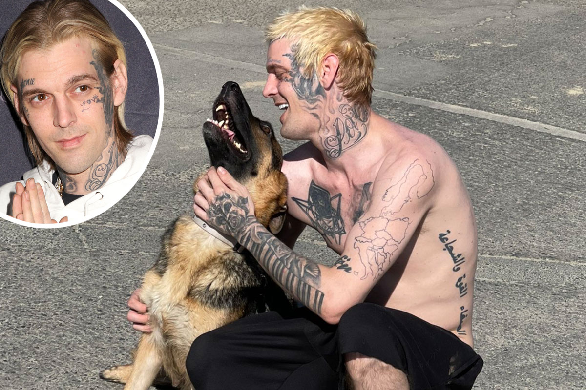 #Aaron Carter’s Beloved Pup Zelda Rehomed After Being Traumatized By Witnessing His Death