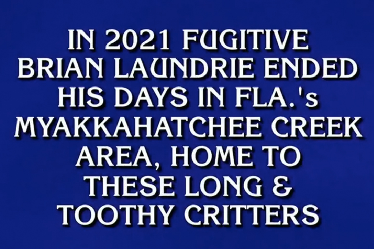 Celebrity Jeopardy Brian Laundrie Controversy