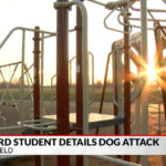21 Injured After Dogs Attack School Playground At Recess