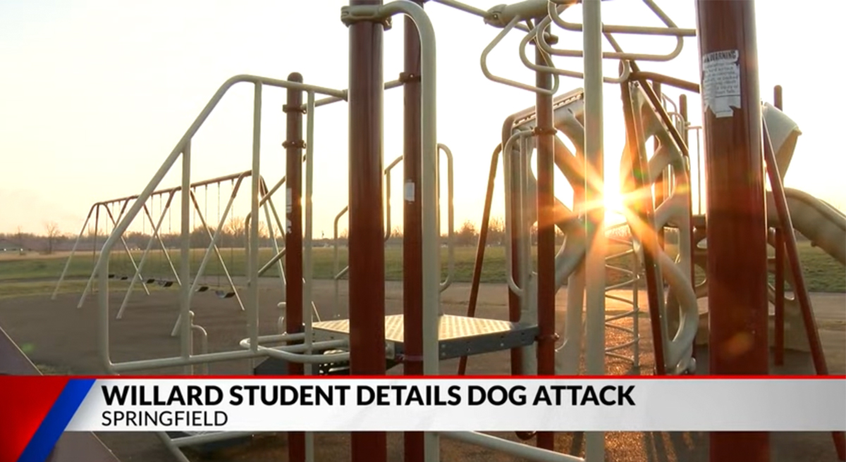 21 Injured After Dogs Attack School Playground At Recess Perez Hilton