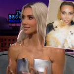 Fans Blast Kim Kardashian After Sharing TikTok Video Of Her Dogs Seemingly Living In Her Garage!