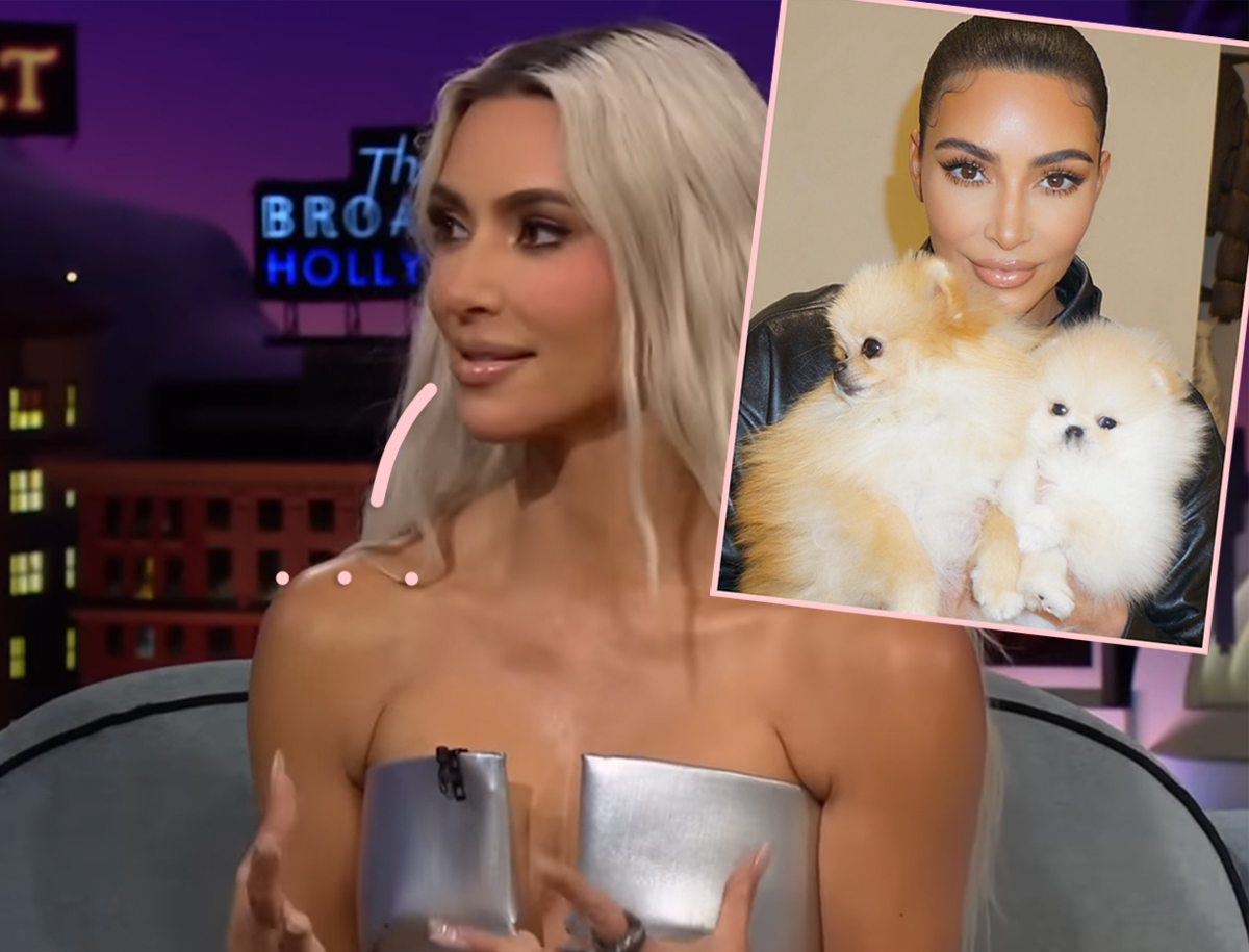 #Fans Blast Kim Kardashian After Sharing TikTok Video Of Her Dogs Seemingly Living In Her Garage!