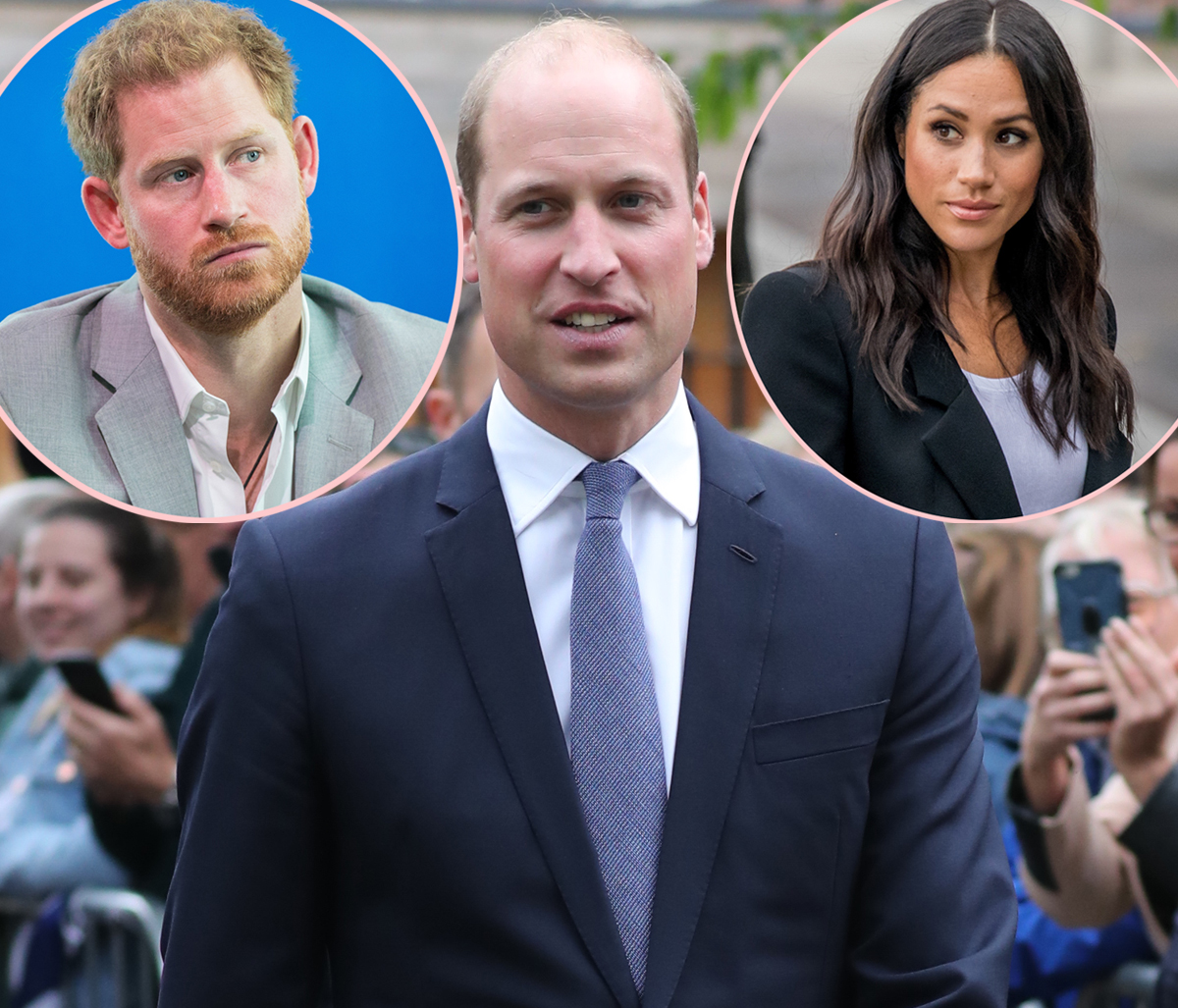 #Prince William Plans To Fight Back Against ‘Any Wild Claims’ Made In Meghan & Harry’s Netflix Docuseries!