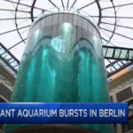 Massive Berlin Aquarium EXPLODES, Injuring Guests & Killing Over A Thousand Fish!