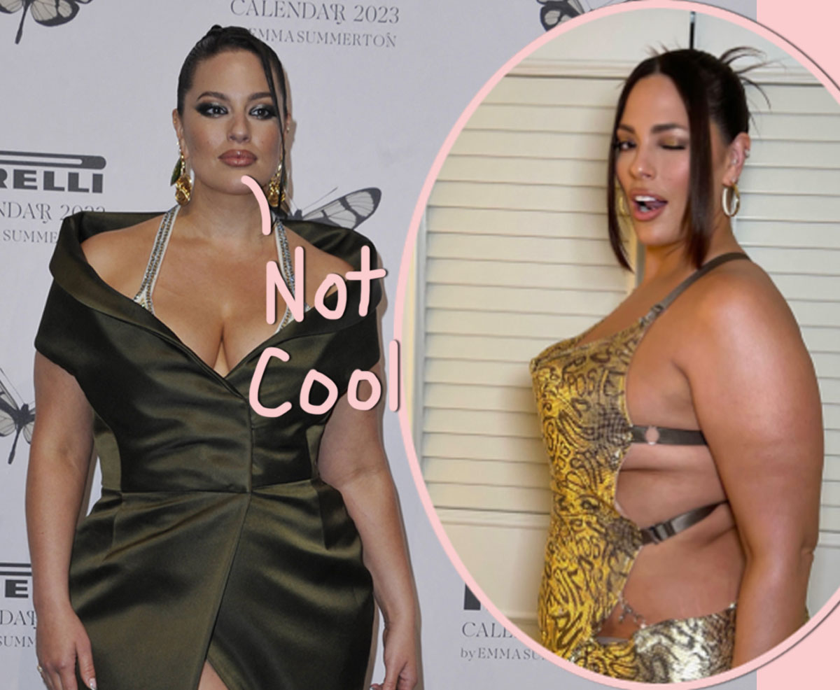 #Ashley Graham Fires Back At Journalist Shaming Her For ‘Fat Positivity’ With Sexy Pic Trend!