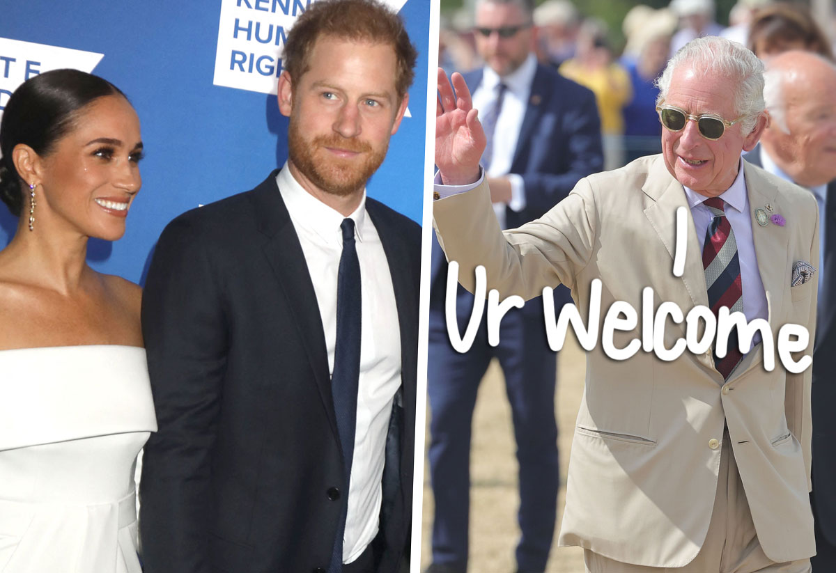 #King Charles Will NEVER Strip Prince Harry & Meghan Markle Of Their Titles, Says Palace Source