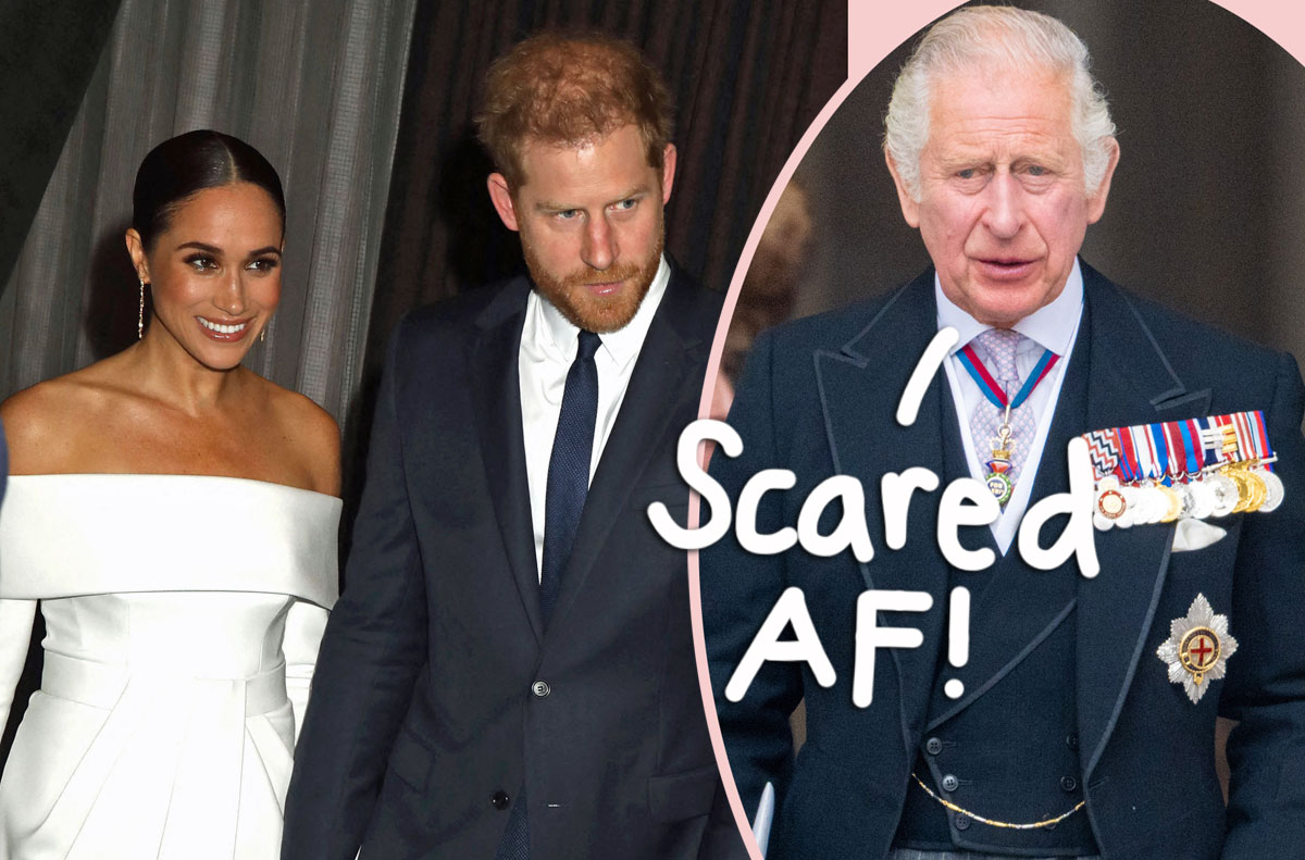 #King Charles ‘Concerned’ Harry & Meghan Will Cause ‘Irreparable Damage’ To Monarchy: ‘This Is A War’!