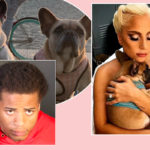 Man Who Shot Lady GaGa's Dog Walker Sentenced To Prison -- DETAILS