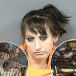 Florida Woman Arrested For Animal Abuse & Child Neglect After Police Find OVER 300 RATS Living In Her Home!