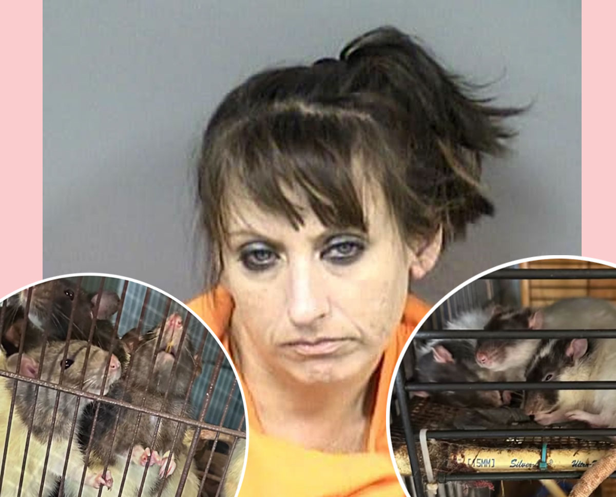 #Florida Woman Arrested For Animal Abuse & Child Neglect After Police Find OVER 300 RATS Living In Her Home!