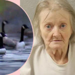 Woman Arrested For Husband's 1987 Murder -- After Police Realize 'Goose Bite' Story Was A Lie?