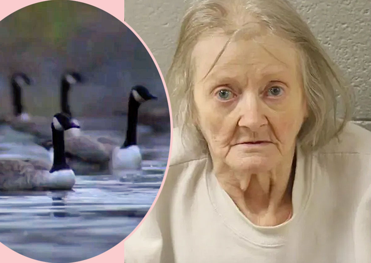 #Woman Arrested For Husband’s 1987 Murder — After Police Realize ‘Goose Bite’ Story Was A Lie?