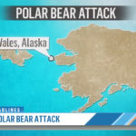 24-Year-Old Mother & 1-Year-Old Son Mauled To Death In Rare Alaska Polar Bear Attack