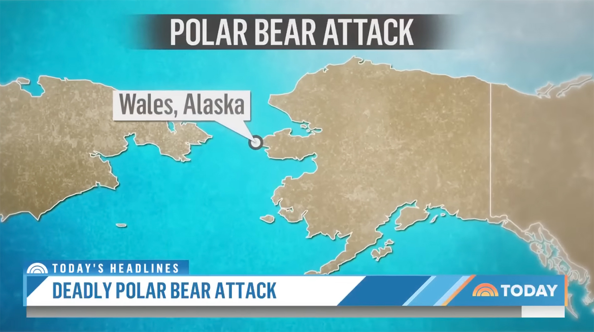 24YearOld Mother & 1YearOld Son Mauled To Death In Rare Alaska Polar Bear Attack Perez Hilton