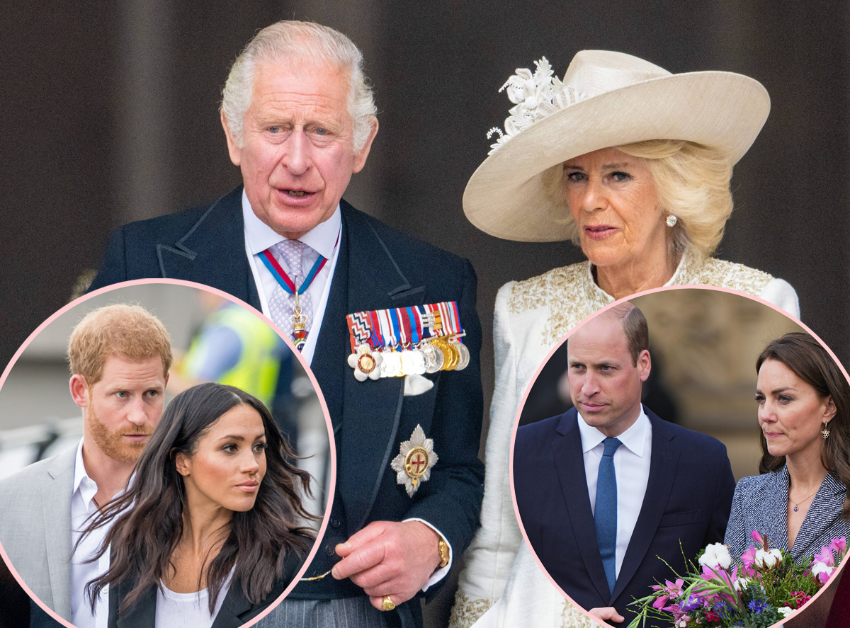 #King Charles Wants Prince Harry & Meghan Markle At Coronation — But Is Being ‘Met With Resistance’ From One Family Member!