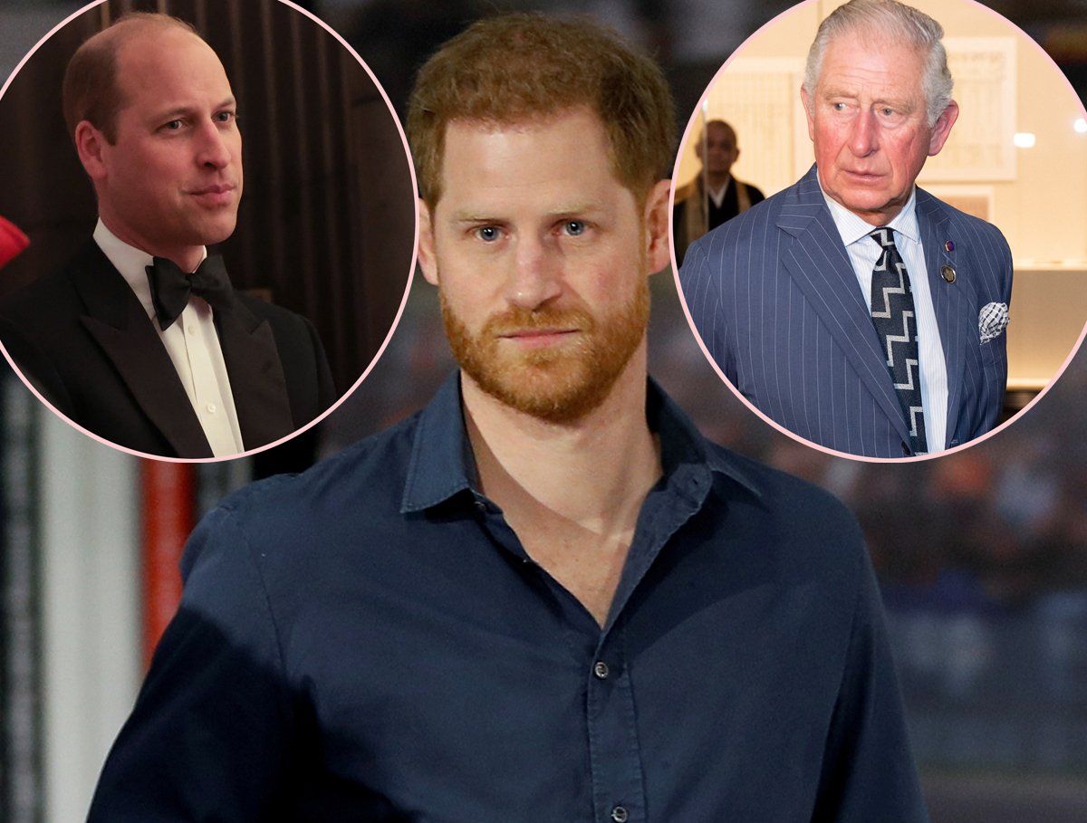 Prince Harry Reveals He Left A LOT Of Stories About Prince William & King Charles Out Of His Memoir!
