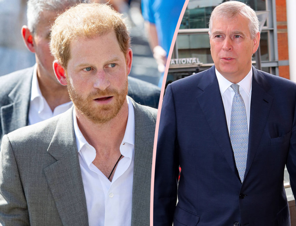 Prince Harry Didn’t Think He’d Lose Palace Security After Prince Andrew Kept His Amid Sexual Assault Scandal!