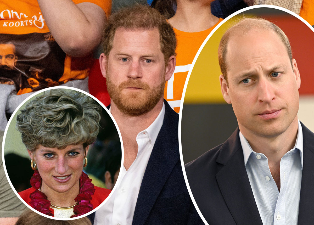 #Prince Harry Admits Princess Diana Would Be ‘Sad’ About Painful Feud With William
