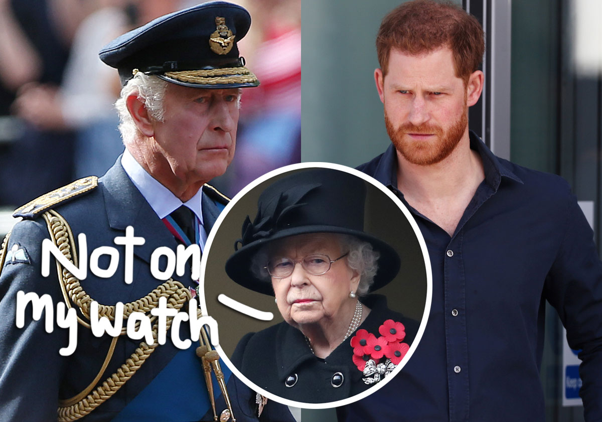 #Queen Elizabeth Would Have Retaliated Against Prince Harry’s Spare, Claims Expert — Will King Charles??