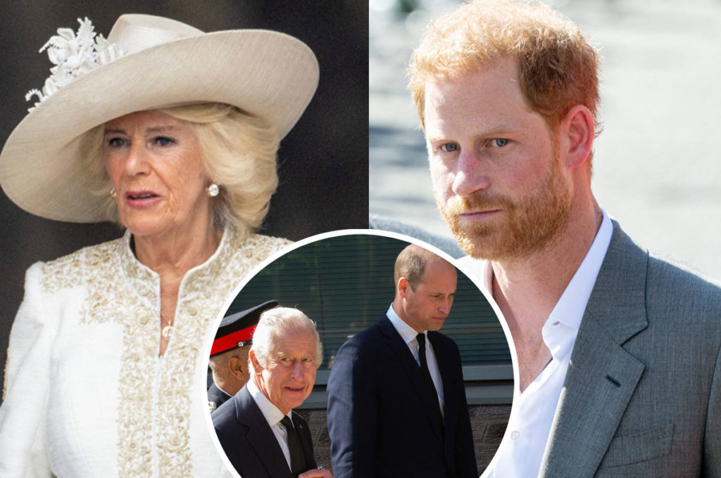 Prince Harry Walks Back 'Villain' Claim About Queen Camilla & Reveals ...