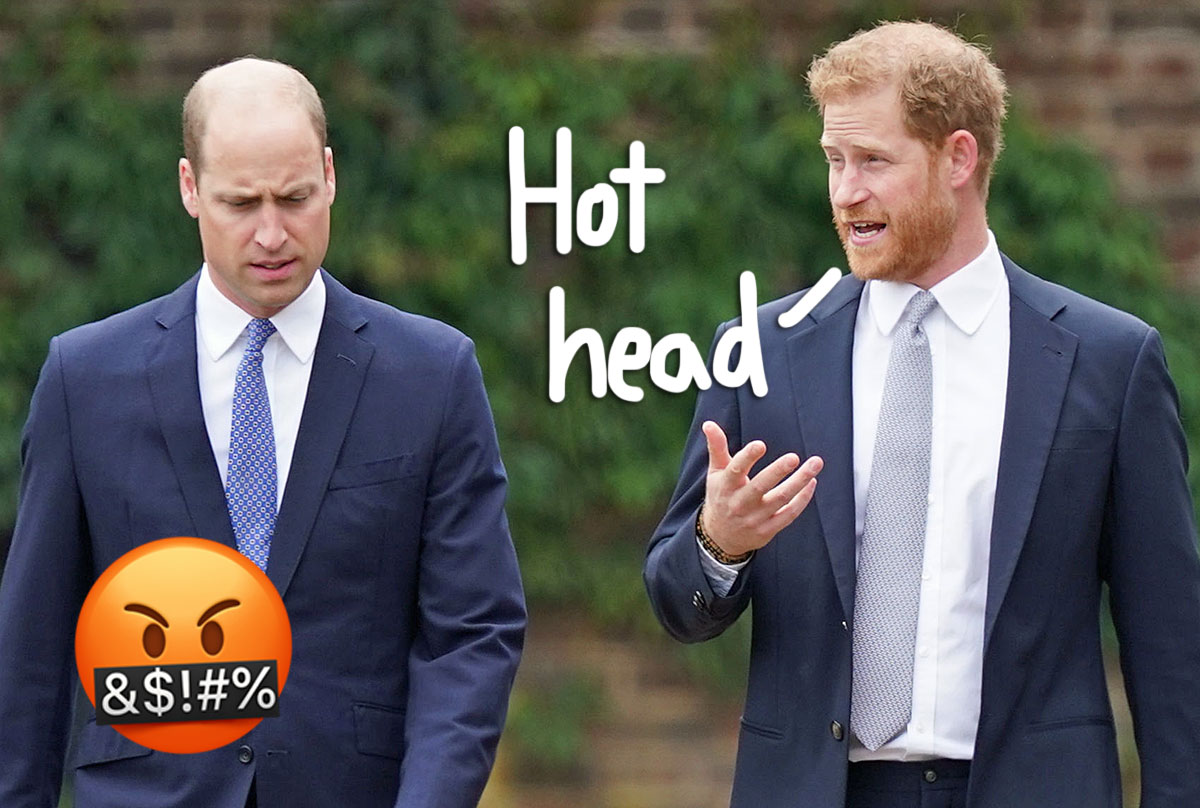 #Prince Harry Claims William ‘Wanted Me To Hit Him’ During Alleged Attack — & Takes Petty Shot At Older Brother!