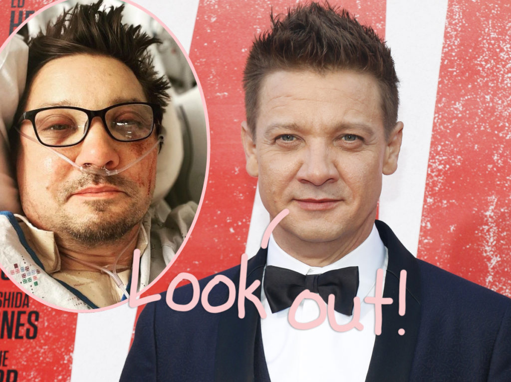 Jeremy Renner Jumped In Front Of Snowplow To Save His Nephew From Being Crushed Perez Hilton