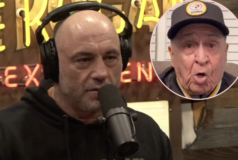 Joe Rogan's Dad & Sister 'Have Proof' He LIED About Domestic Abuse ...