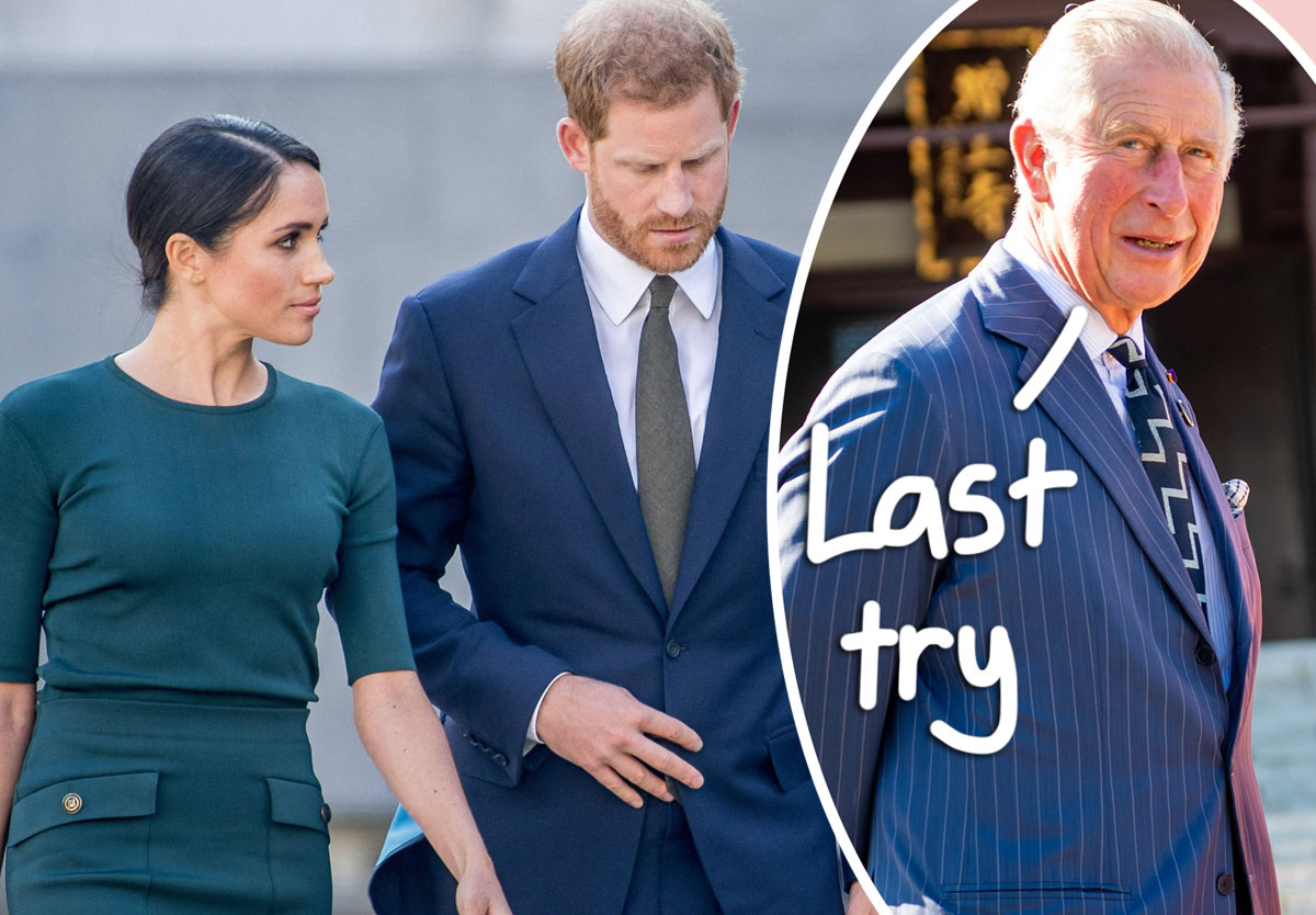 Royal Expert Says King Charles Will Invite Prince Harry AND Meghan ...