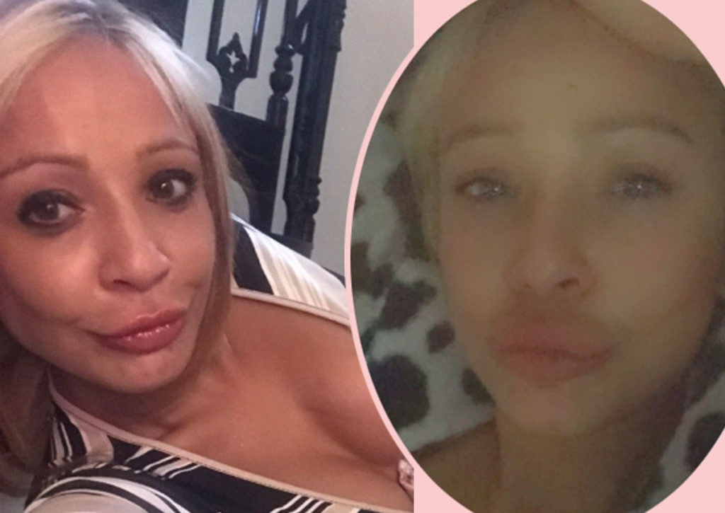 Porn star, 34, high on drugs crashes into van, bites cop and flees