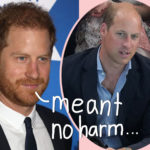 Prince Harry Claims Dig At William's 'Alarming Baldness' Wasn't A Diss At All -- 'I Love Him Deeply'