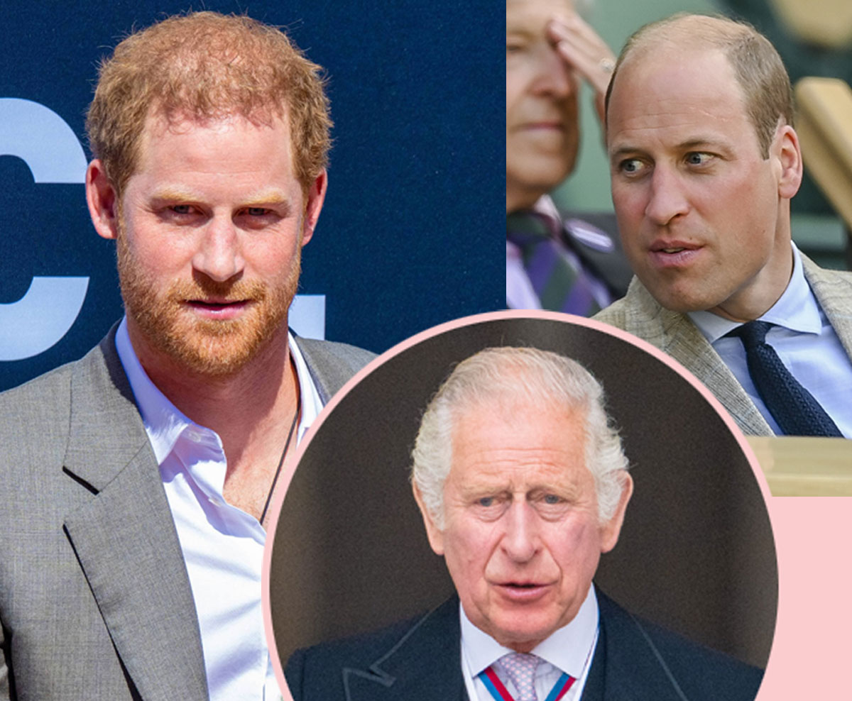Prince Harry Says William Was 'Seething' With King Charles After His Team Allegedly 'Planted' False Stories About Both…