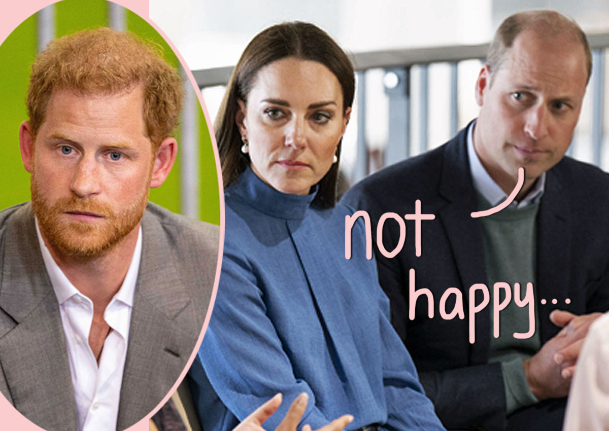 #Prince William & Princess Catherine ‘Hit Hard’ By Harry’s Memoir Accusations: ‘Seething And Devastated’
