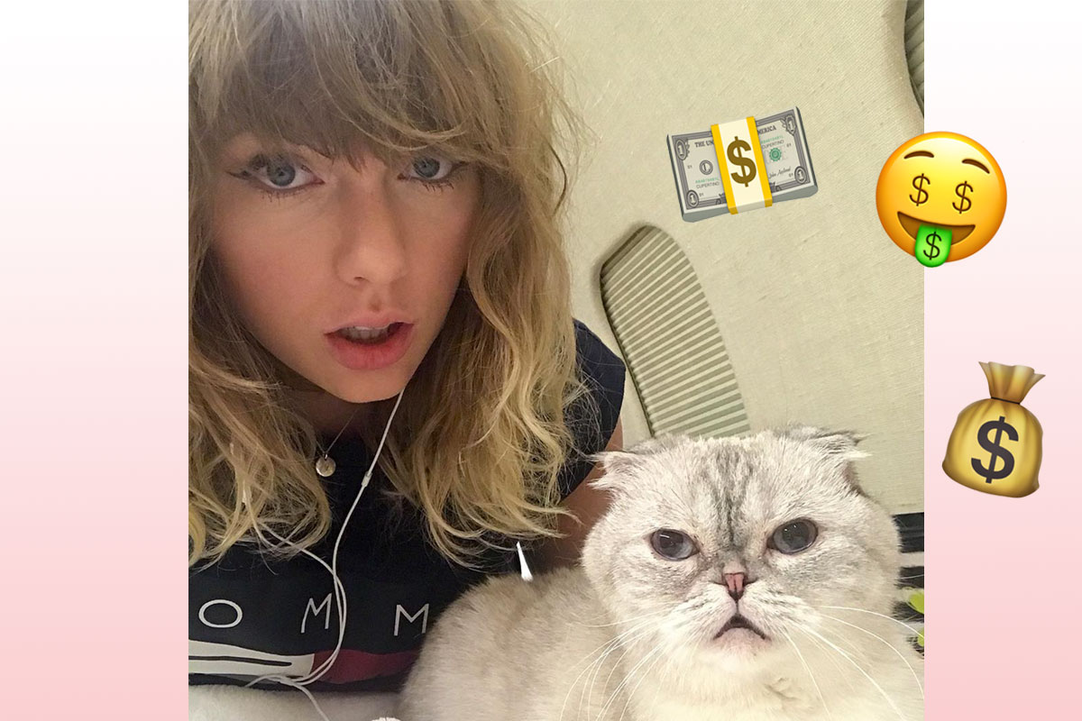 Кошка тейлор. Taylor Swift Cats. Taylor Swift Cat Meredith. Где живет певица Cat. Какой породы кошка Тэйлор Свифт.