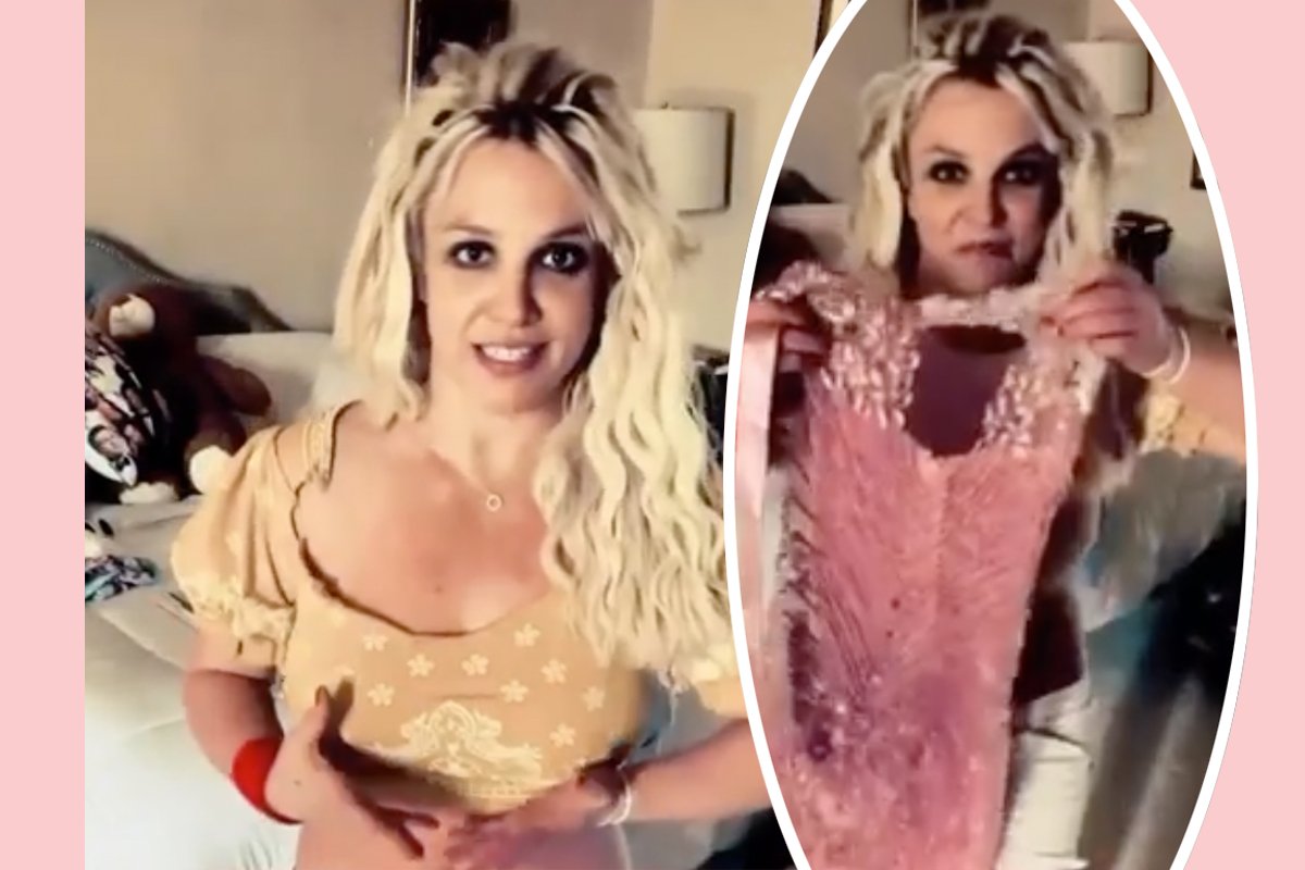 Britney Spears Tells Fans NOT To Call The Cops Again!