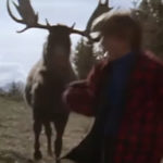Moose Sneaks Up On Woman Walking Her Dog And Kicks Her In The Head (VIDEO)