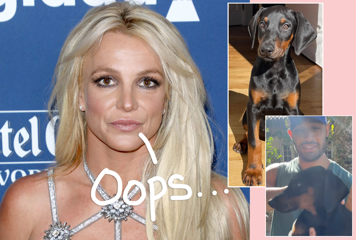 #Britney Spears & Sam Asghari Busted By Animal Control After Their Doberman Attacks Old Man On A Bike!