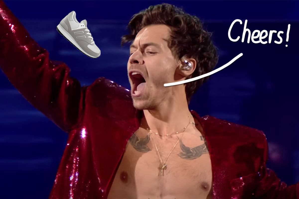 #Harry Styles Drank From His Shoe On Stage — And Twitter Has THOUGHTS!